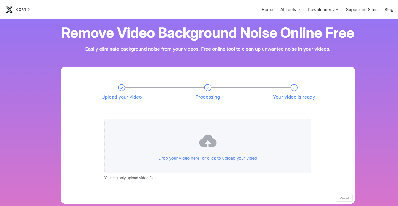 XXVID's Additional Features-Video Denoiser