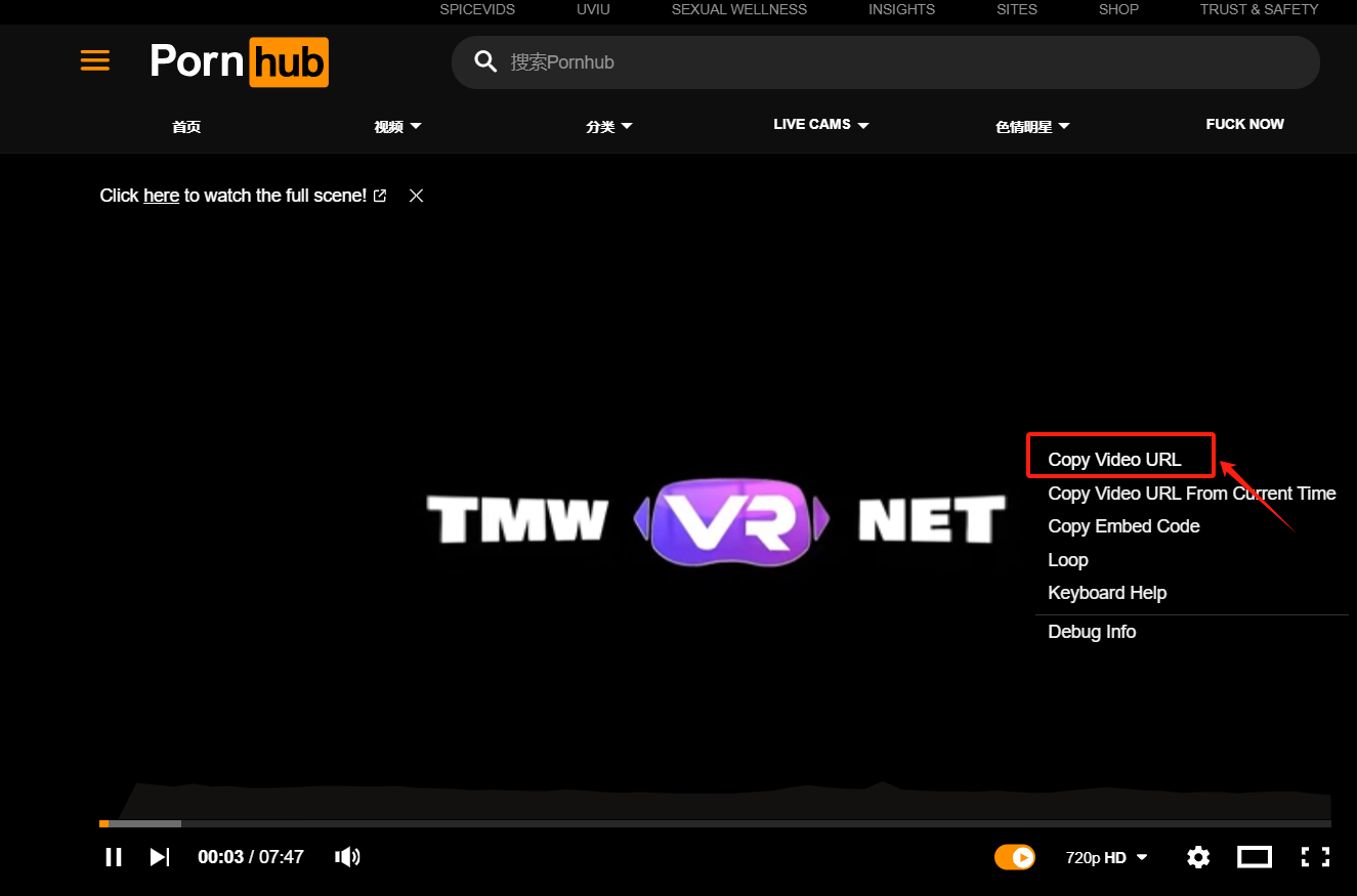 download pornhub vr video-step 1