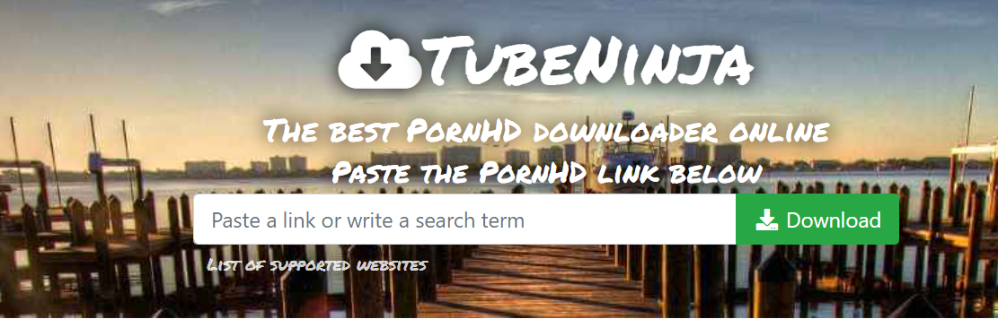 Porn HD Video Downloader