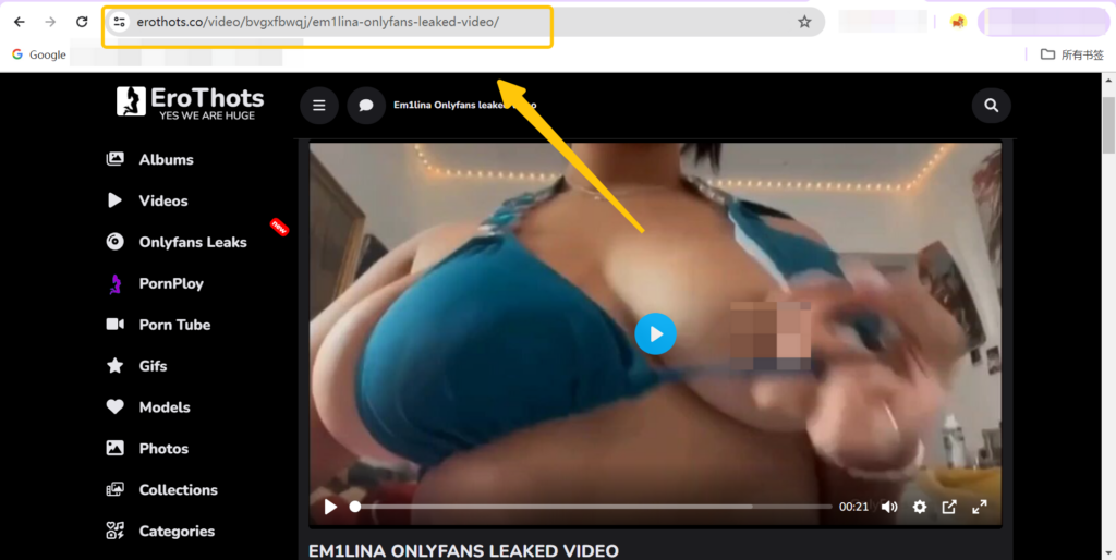 Copy Erothots Video URL