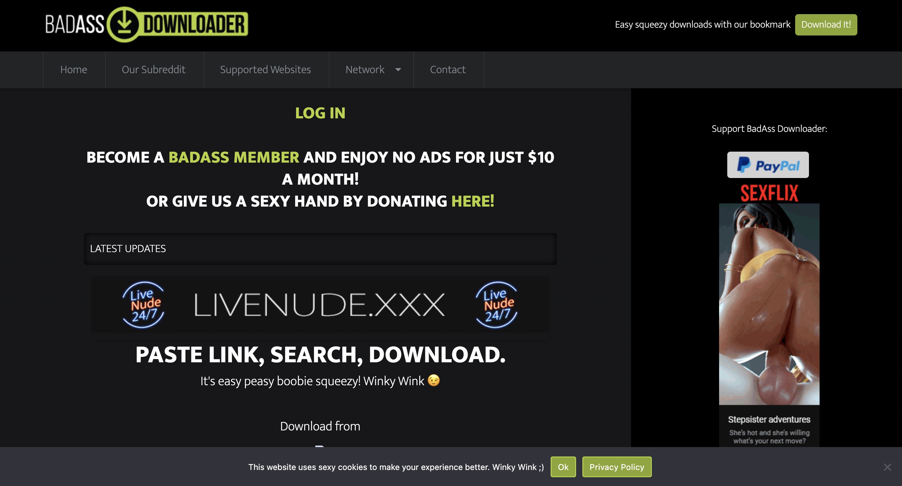xvideos downloader-badassdownloader