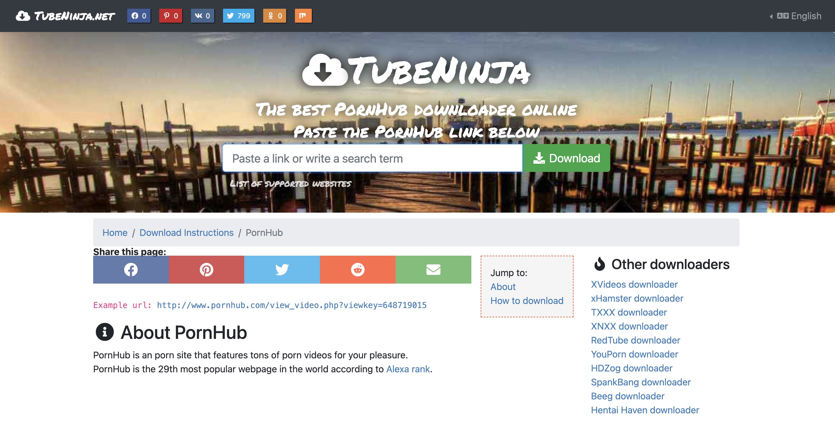 pornhub video downloader-tubeninja