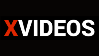 Top 6 Online Xvideos Downloader | 2025 Update